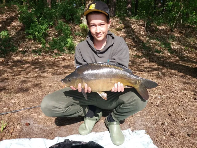 Karpfen