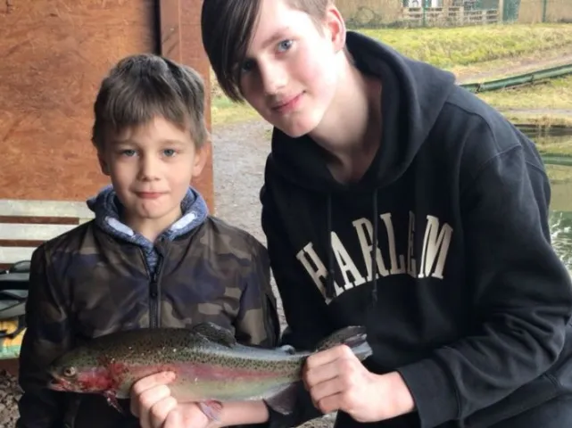Regenbogenforelle