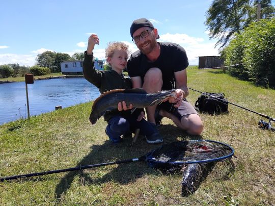 Afrikanischer Raubwels