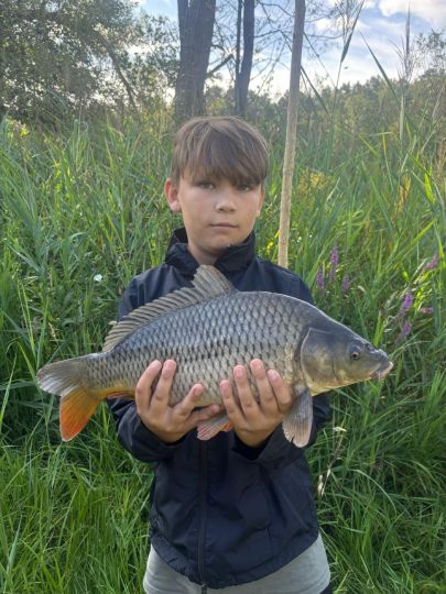 Graskarpfen-0
