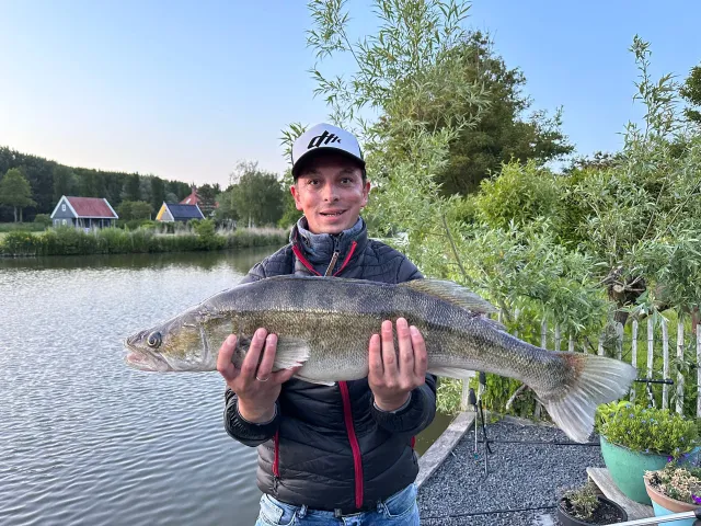 Zander