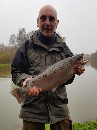Regenbogenforelle