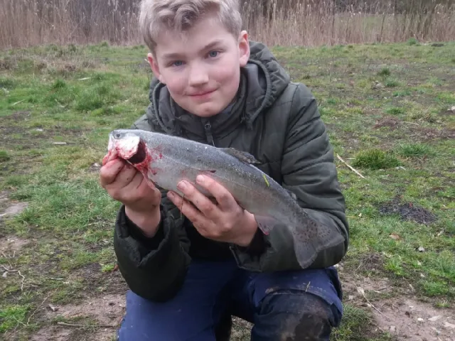 Regenbogenforelle