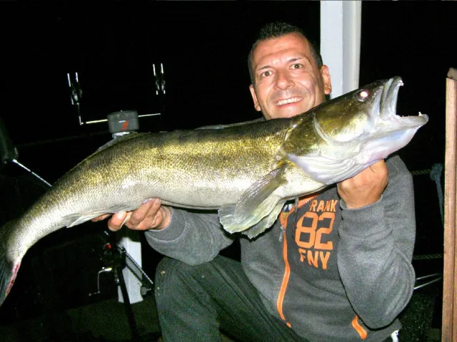 Zander