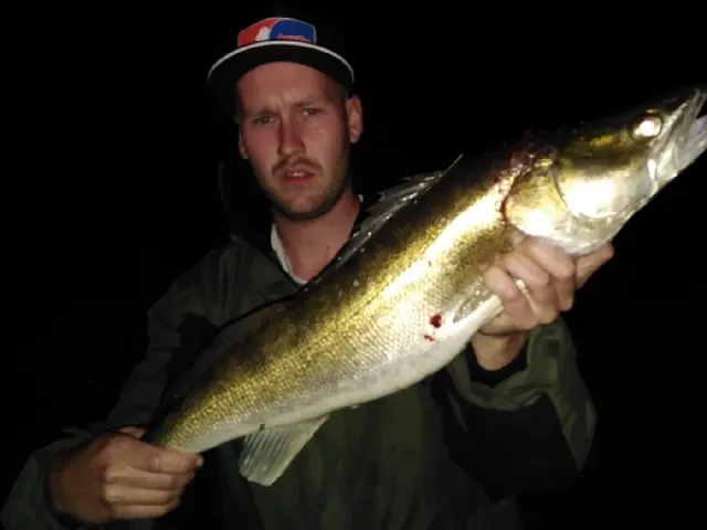 Zander