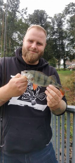Flussbarsch
