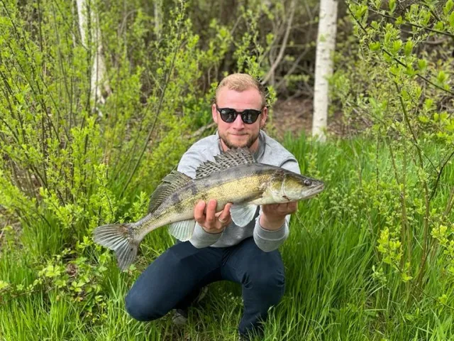 Zander