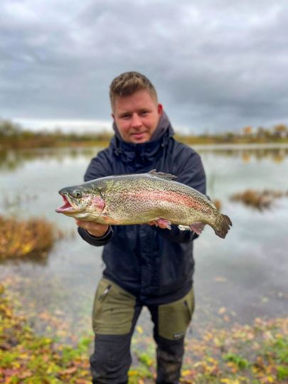 Regenbogenforelle