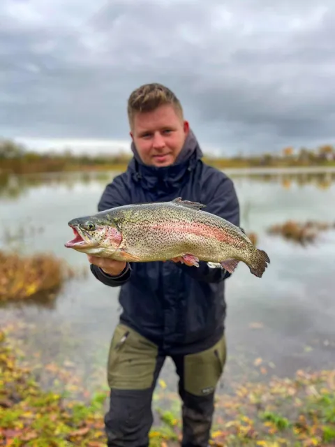 Regenbogenforelle