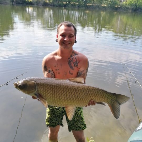 Graskarpfen
