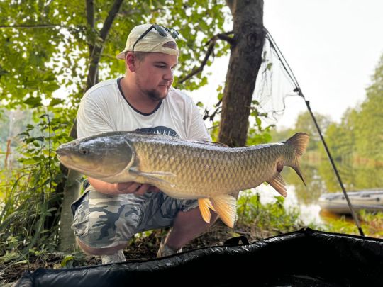 Graskarpfen