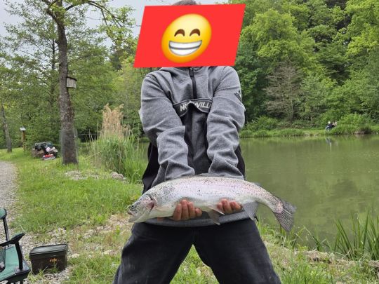 Seeforelle