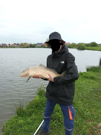 Karpfen
