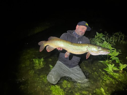Hecht