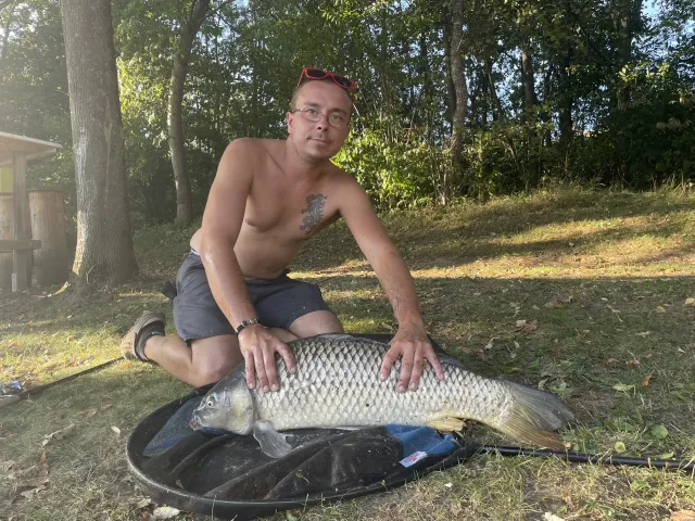 Karpfen