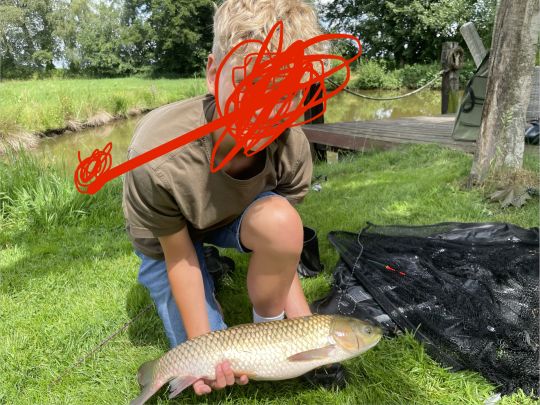 Graskarpfen