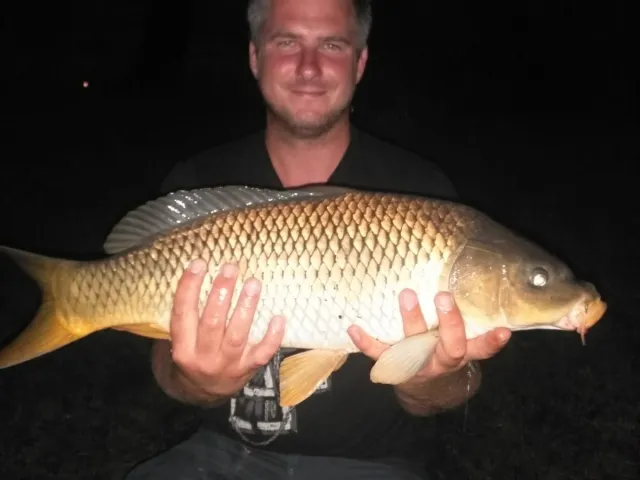 Karpfen