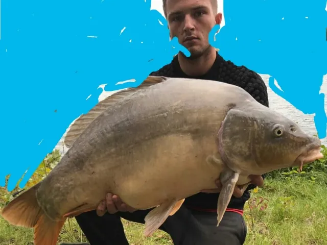 Karpfen