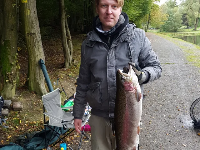 Regenbogenforelle