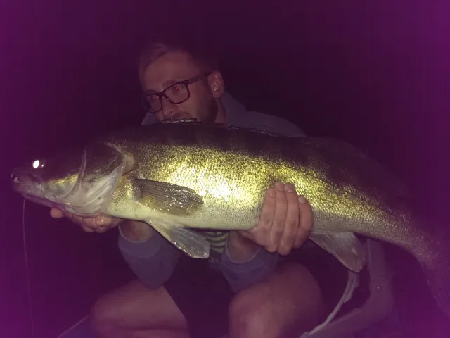 Zander