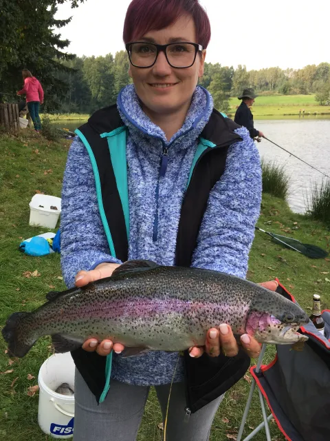 Regenbogenforelle