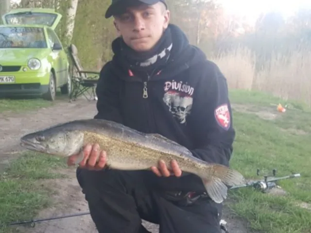 Zander