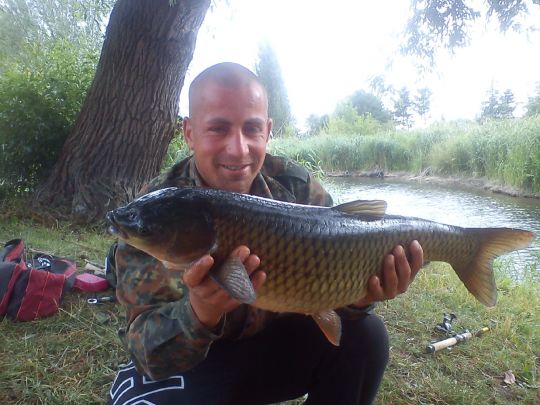 Graskarpfen