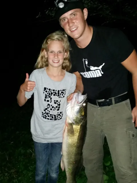Zander