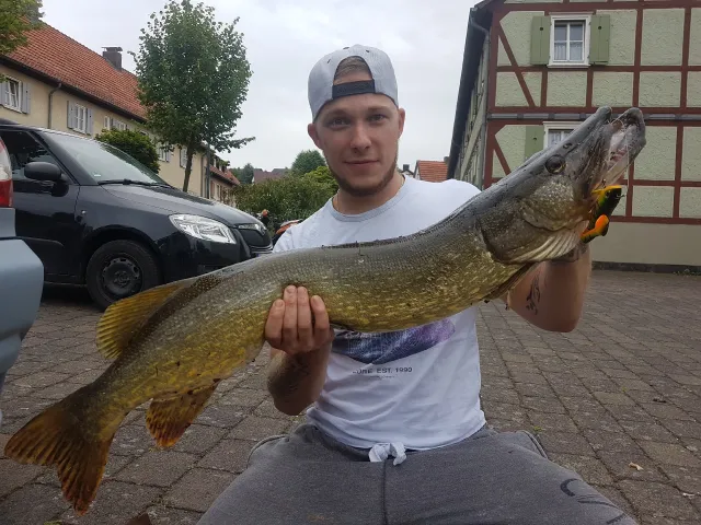 Hecht