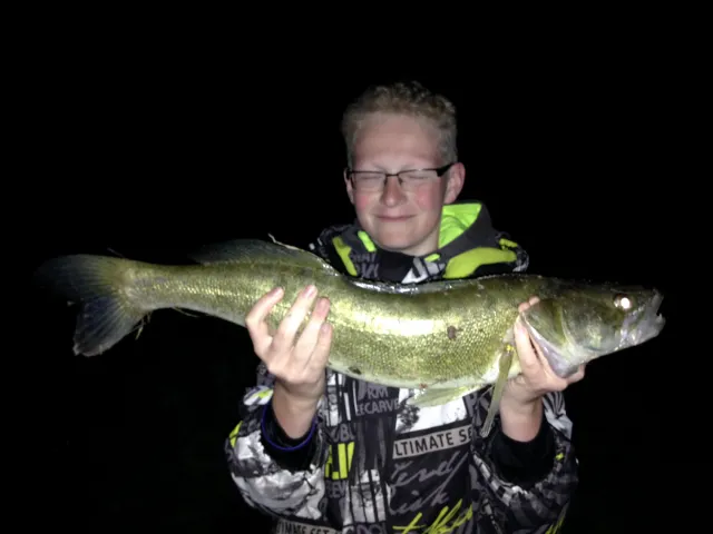Zander
