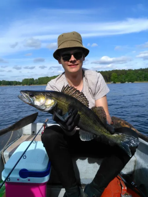 Zander