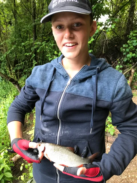 Flussbarsch