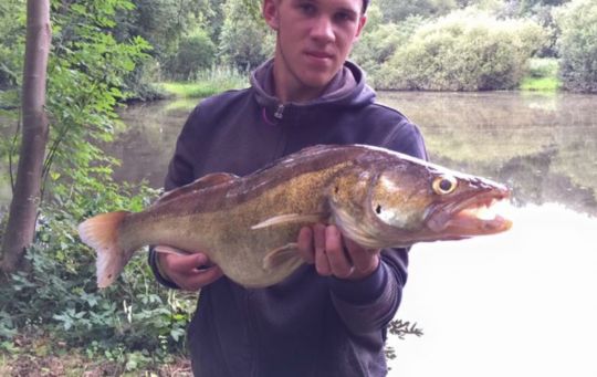 Zander