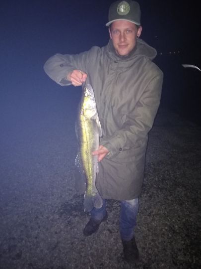 Zander