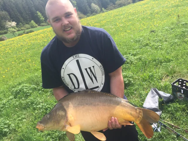 Karpfen