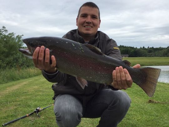 Regenbogenforelle