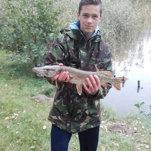 Hecht