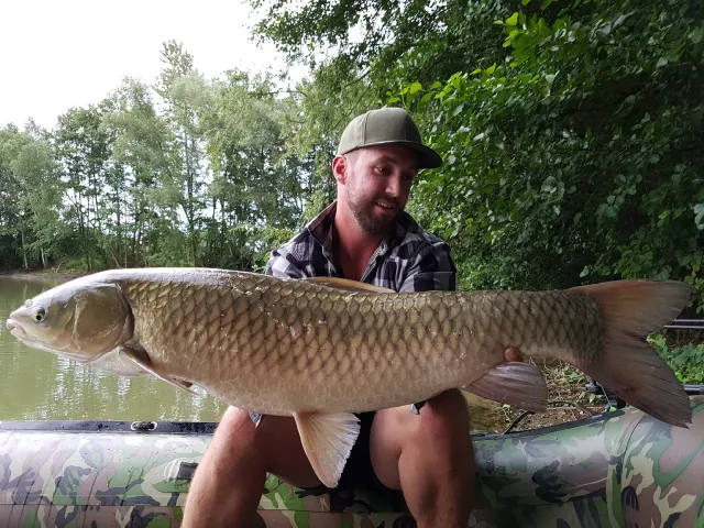 Graskarpfen