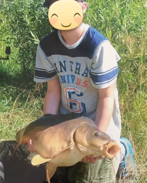Karpfen