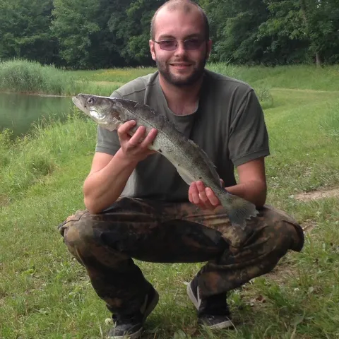 Zander