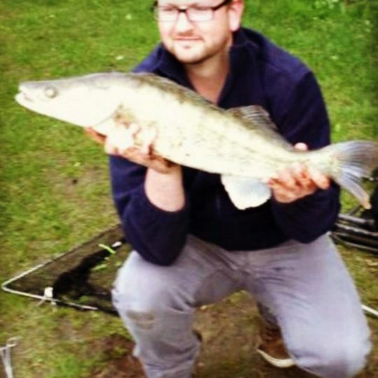 Zander