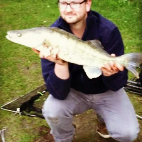 Zander