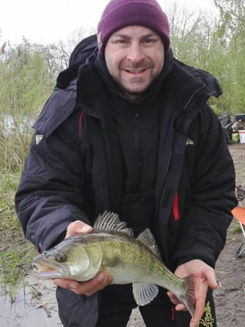 Zander