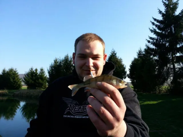 Kaulbarsch