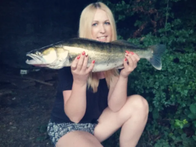 Zander