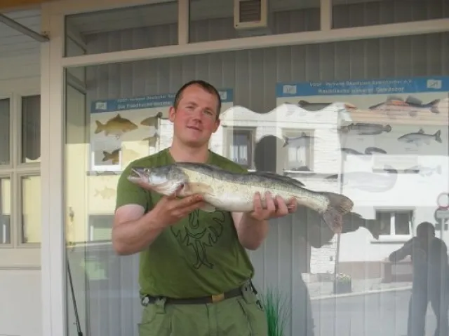 Zander