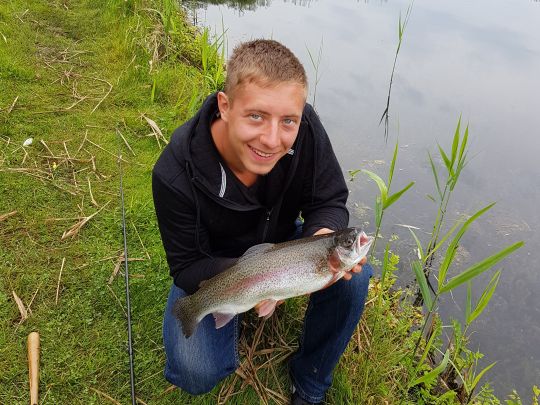 Regenbogenforelle