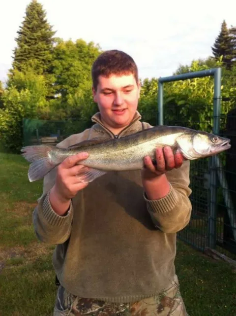 Zander