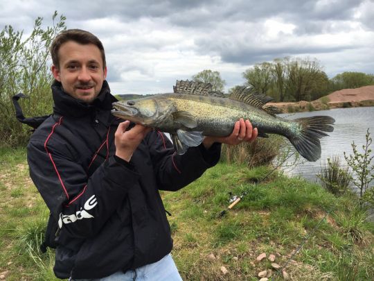 Zander
