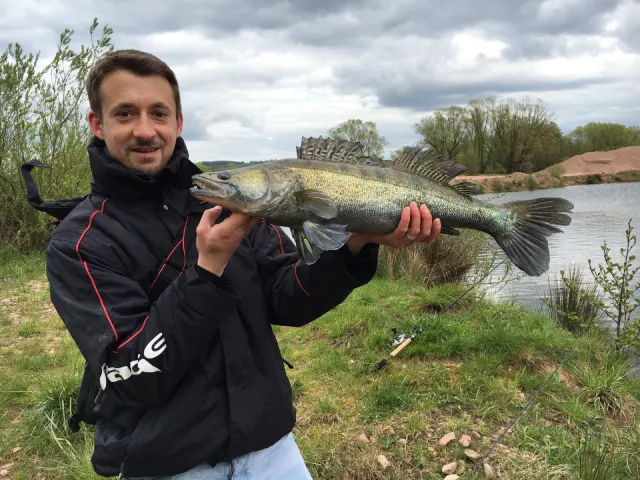 Zander